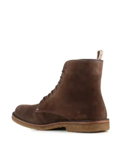 Anfibio Bootlex