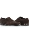 Coda Di Rondine 59302.2