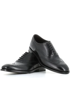 Coda Di Rondine 59302.1